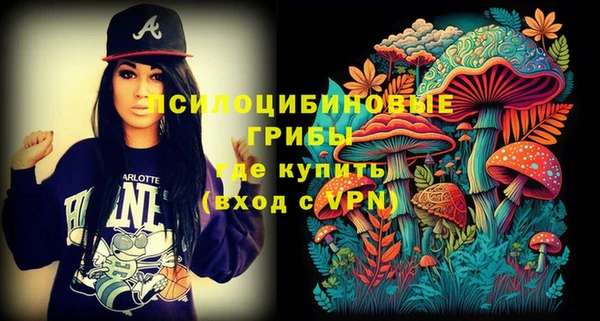 каннабис Корсаков