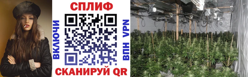 Конопля Ganja  blacksprut ССЫЛКА  Малгобек  цены наркотик 